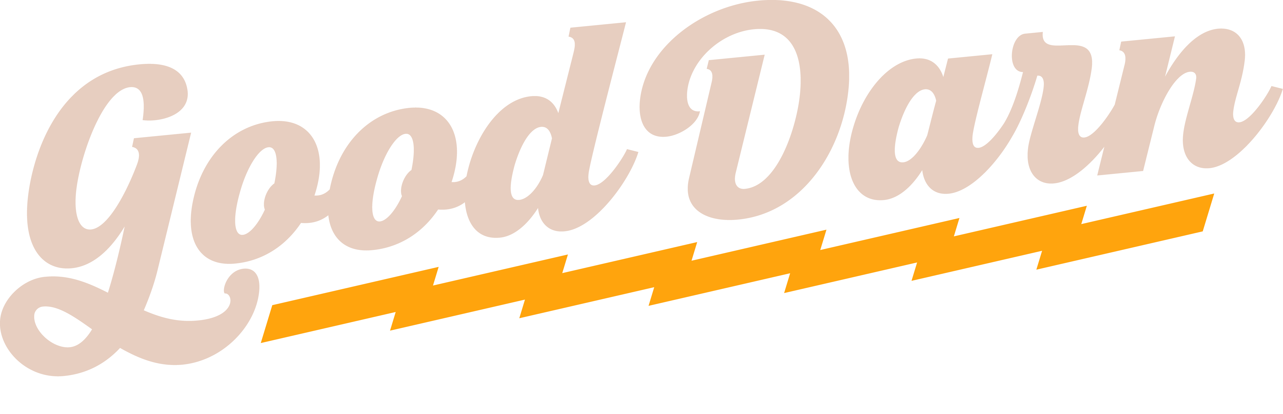 Good Darn